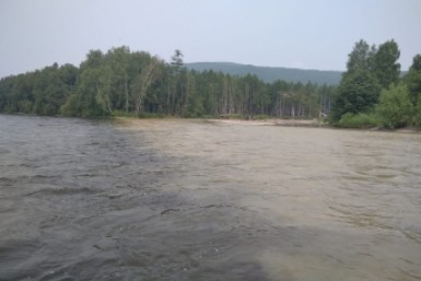 Итоги дня: крушение вертолета, СИЗО в Хабаровске переносят, чума свиней, отходы в реках