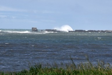 Расследование по факту смерти двух сотрудников ФГБУ "Заповедное Приамурье" продолжается