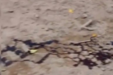 Что скрывает тайга: появились новые версии гибели рабочего в лесу в Хабаровском крае Что скрывает тайга: появились новые версии гибели рабочего в лесу в Хабаровском крае