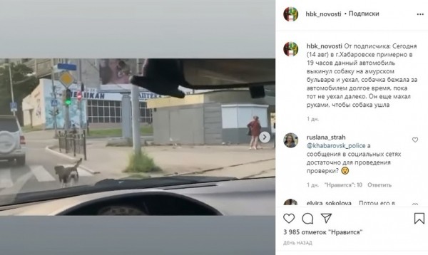 Выкрутили так, будто мы выкинули собаку - ставшая героиней скандального видео хабаровчанка