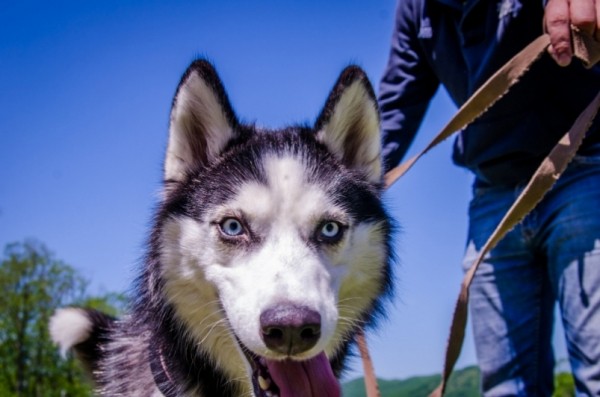 Спортивно-туристический праздник "Амурия" впервые пройдет в Хабаровском крае
