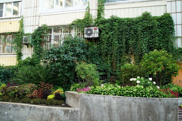 Лучшие дворы и подъезды выбрали в Хабаровске