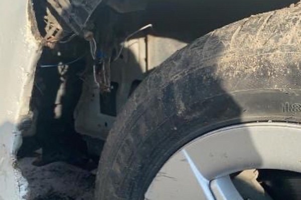 Шины, номера и проводка в клочья: клыкастые ненавистники иномарок объявились в Хабаровске Шины, номера и проводка в клочья: клыкастые ненавистники иномарок объявились в Хабаровске