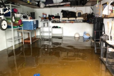 Итоги дня: форсаж в Хабаровске, опасный столб и медвежонок, который "перевернул землю"