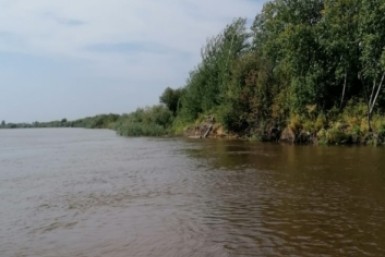 Итоги дня: форсаж в Хабаровске, опасный столб и медвежонок, который "перевернул землю"