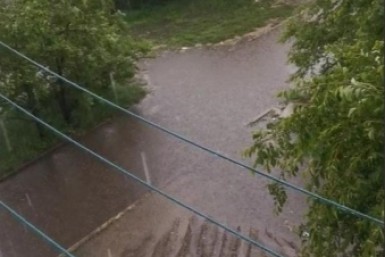 Итоги дня: падение ребенка, бегом от медведя, дорожный лихач и комариное озеро с запахом