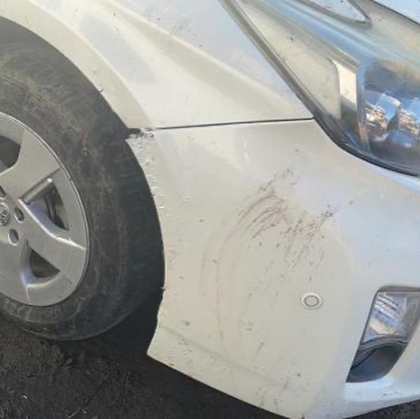 Шины, номера и проводка в клочья: клыкастые ненавистники иномарок объявились в Хабаровске Шины, номера и проводка в клочья: клыкастые ненавистники иномарок объявились в Хабаровске