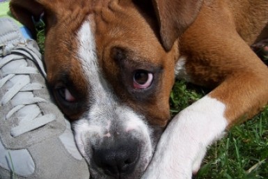 Итоги дня: новый зампред, дачи под водой,  10 тысяч не хватает и газ в каждый двор