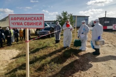 Итоги дня: крушение вертолета, СИЗО в Хабаровске переносят, чума свиней, отходы в реках