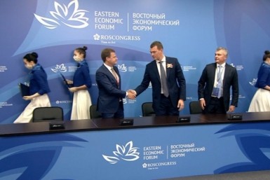 Неделя с AmurMedia: ужасная воронка, ЧП в колонии, нашествие тигров и агрессивная касатка