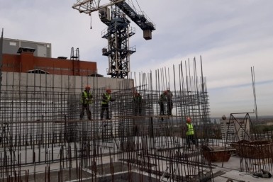 Итоги дня: голосование, загубили лотосы, опасная болезнь, сбили подростка и цвет кошки
