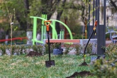 Итоги дня: голосование, загубили лотосы, опасная болезнь, сбили подростка и цвет кошки