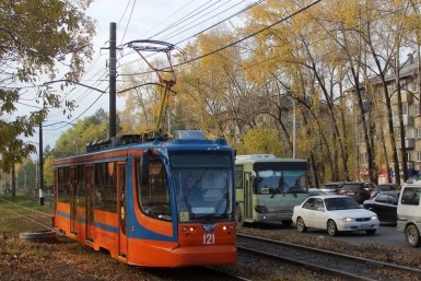 Итоги дня: голосование, загубили лотосы, опасная болезнь, сбили подростка и цвет кошки