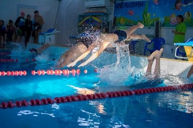 Итоги дня: голосование, загубили лотосы, опасная болезнь, сбили подростка и цвет кошки