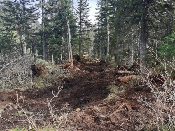 Мощный таежный пожар на Мяо-Чан в Хабаровском крае локализован, но пока не потушен