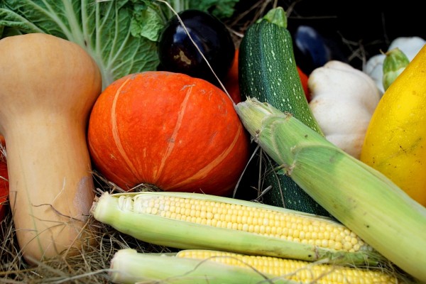 Новую сельскохозяйственную ярмарку открыли в Хабаровске