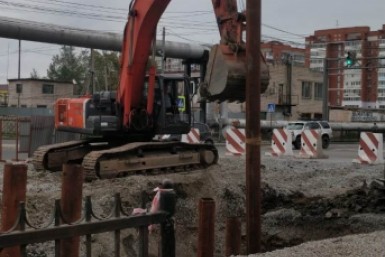 Итоги дня: голосование, загубили лотосы, опасная болезнь, сбили подростка и цвет кошки