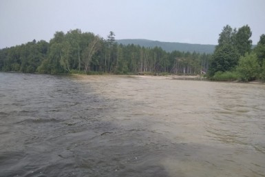 Итоги дня: примотанный скотчем, опять пожар, Нюрнберг на Амуре и автобусы на Пионерке