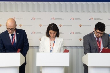 Итоги дня: голосование, загубили лотосы, опасная болезнь, сбили подростка и цвет кошки