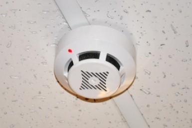 Итоги дня: трагедия на выборах, пожар на 10 этаже, многострадальная улица, и котики тоже