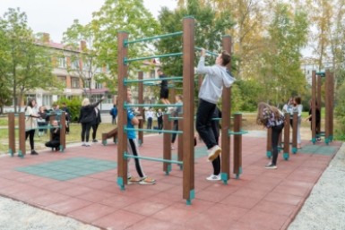 Итоги дня: голосование, загубили лотосы, опасная болезнь, сбили подростка и цвет кошки