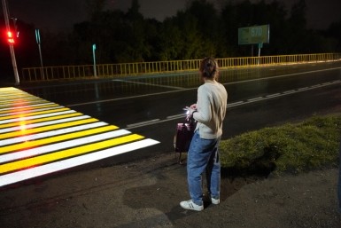 Итоги дня: голосование, загубили лотосы, опасная болезнь, сбили подростка и цвет кошки