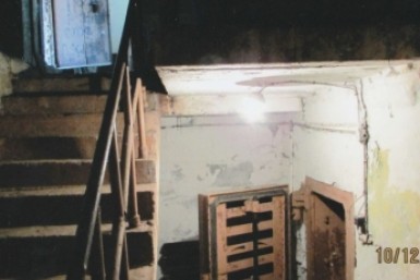 Итоги дня: голосование, загубили лотосы, опасная болезнь, сбили подростка и цвет кошки