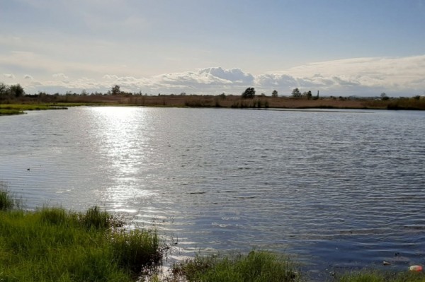 Амур у Комсомольска-на-Амуре опустился ниже отметки опасного явления Амур у Комсомольска-на-Амуре опустился ниже отметки опасного явления