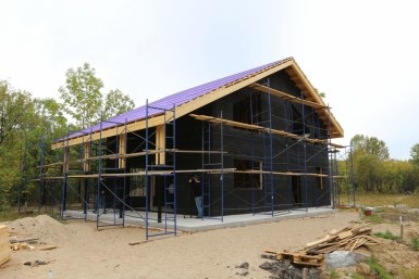 Итоги дня: голосование, загубили лотосы, опасная болезнь, сбили подростка и цвет кошки