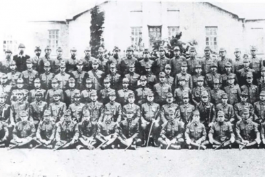 Неделя с AmurMedia: ужасная воронка, ЧП в колонии, нашествие тигров и агрессивная касатка