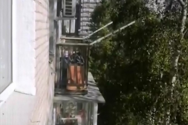 Душераздирающий вой раздается с утра до вечера из запертой квартиры в Хабаровске