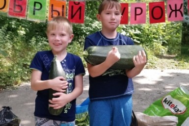 Итоги дня: автобус в кювете, Раскольников в ИК, борьба за краповый берет и овощи для тигра