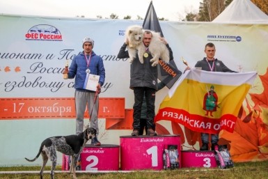 Итоги дня: жертвы собак, страшная статистика, завершили расследование и наши с медалями