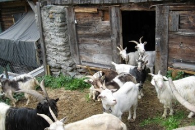 Итоги дня: снесут 10 зданий, пугают бандой, перевернулась лодка и помощник Путина