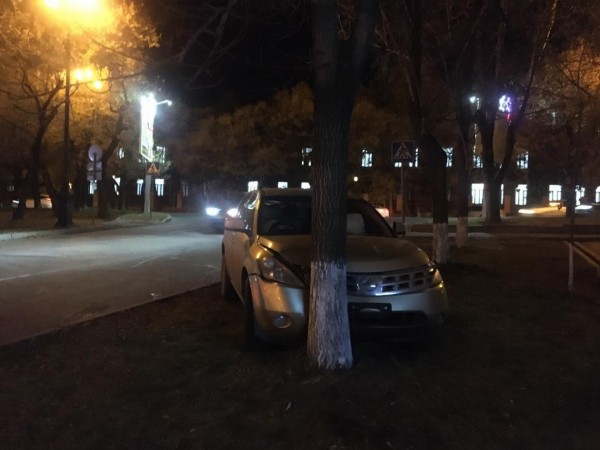 Дубль два: снёс женщину на "зебре" и врезался в дерево водитель в Хабаровске