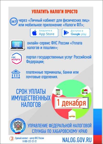 
Уплатите налоги не дожидаясь 1 декабря			