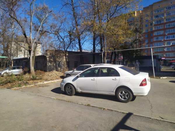 Дубль два: снёс женщину на "зебре" и врезался в дерево водитель в Хабаровске