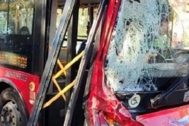 Итоги дня: дисерт под градусом, запущенный  питомник, грузовик vs автобус и вой сирен