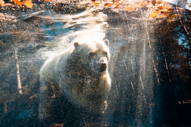 Итоги дня: санкции Украины, подземные тайники с черной икрой, из тюрьмы за баранку