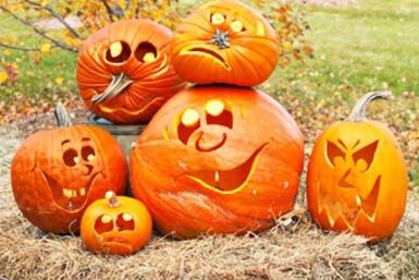 Итоги дня: новый рекорд, дело Фургала, выживший,  оранжевое настроение и самый страшный