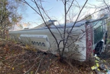 Итоги дня: автобус в кювете, Раскольников в ИК, борьба за краповый берет и овощи для тигра