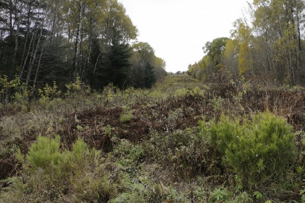Первый этап строительства горнолыжного комплекса "Хехцир" начался в Хабаровском крае