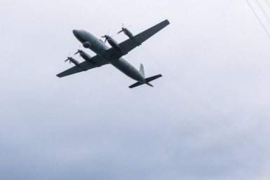 Итоги дня: самолет с "тиграми", обязательная вакцинация и QR-код, приговор экс-чиновнику Итоги дня: самолет с "тиграми", обязательная вакцинация и QR-код, приговор экс-чиновнику