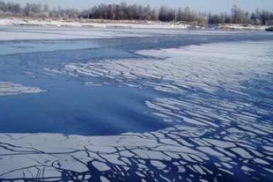 Итоги дня: самолет с "тиграми", обязательная вакцинация и QR-код, приговор экс-чиновнику Итоги дня: самолет с "тиграми", обязательная вакцинация и QR-код, приговор экс-чиновнику