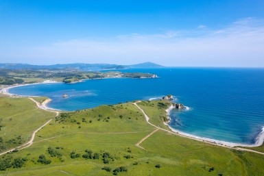 Итоги дня: жертвы собак, страшная статистика, завершили расследование и наши с медалями