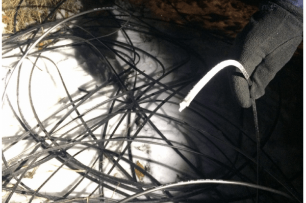 Воришка в Комсомольске-на-Амуре спровоцировал массовое срабатывание сигнализации