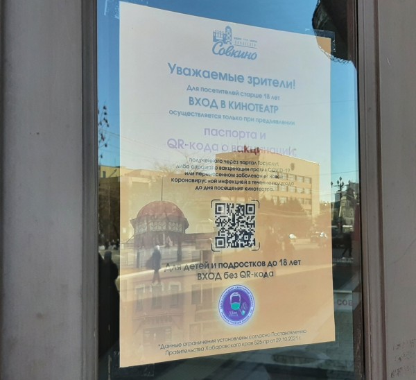 Без кода входа нет. Или есть? Как устроена система проверки QR-кодов в Хабаровске