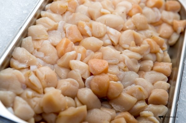 Квоты на вылов гребешка и трепанга предложено выставлять на аукционы