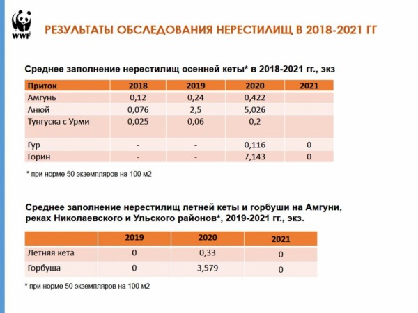 4 хвоста на 150 человек: куда из Амура пропал тихоокеанский лосось?