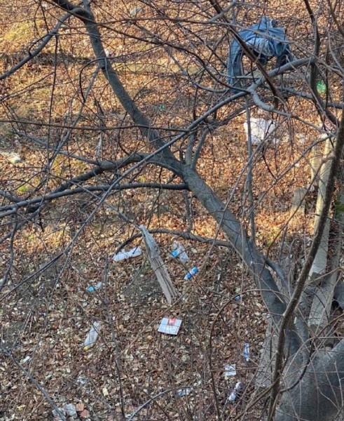 Помойку под окнами своего дома в квартале ДОС устроили хабаровчане